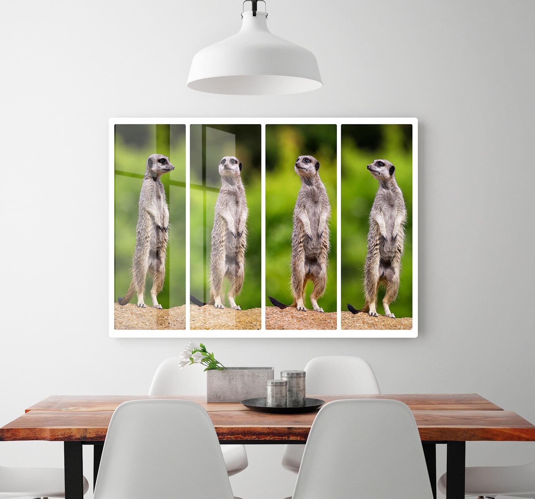 A collage of meerkats HD Metal Print - Canvas Art Rocks - 2