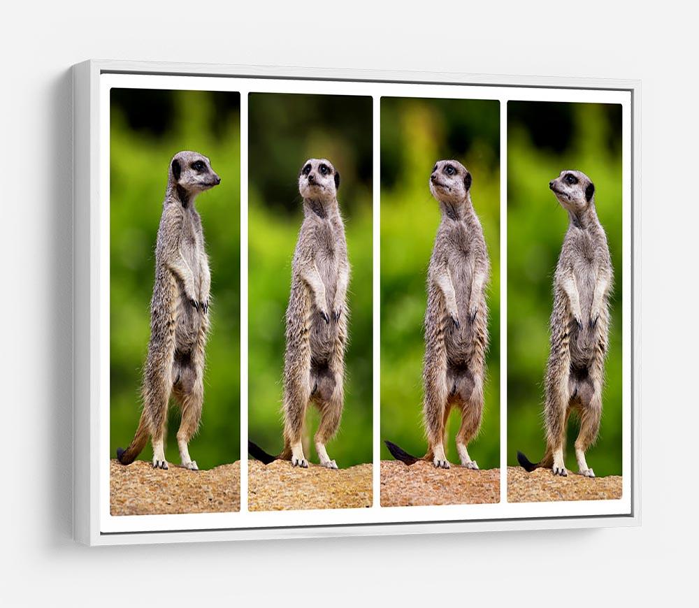 A collage of meerkats HD Metal Print - Canvas Art Rocks - 7