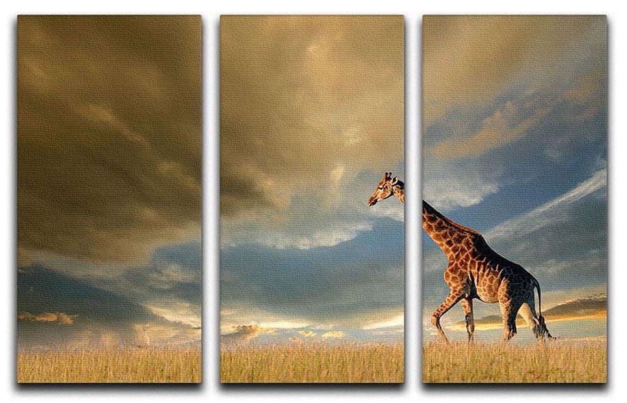 A giraffe walking on the African plains against a dramatic sky 3 Split Panel Canvas Print - Canvas Art Rocks - 1