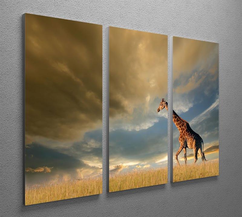 A giraffe walking on the African plains against a dramatic sky 3 Split Panel Canvas Print - Canvas Art Rocks - 2