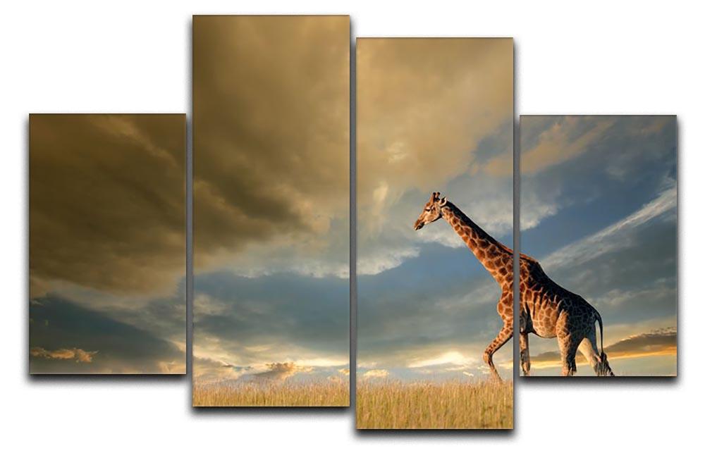 A giraffe walking on the African plains against a dramatic sky 4 Split Panel Canvas - Canvas Art Rocks - 1