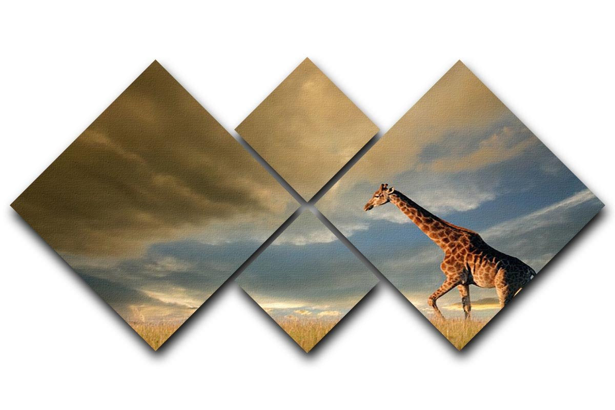 A giraffe walking on the African plains against a dramatic sky 4 Square Multi Panel Canvas - Canvas Art Rocks - 1
