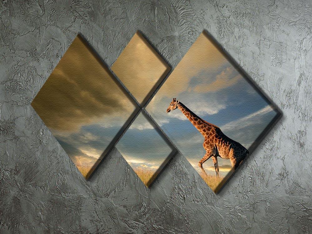A giraffe walking on the African plains against a dramatic sky 4 Square Multi Panel Canvas - Canvas Art Rocks - 2