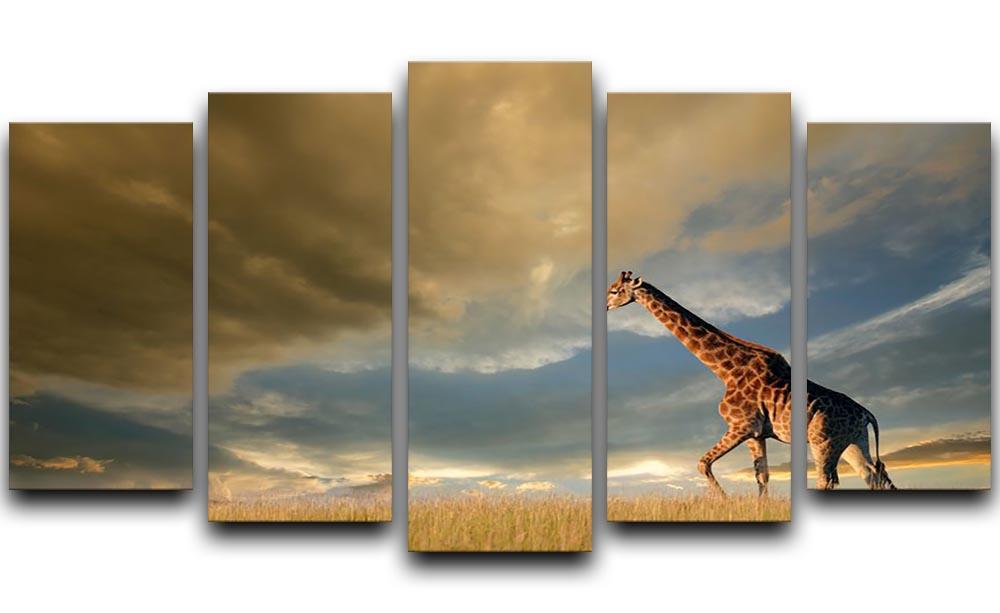 A giraffe walking on the African plains against a dramatic sky 5 Split Panel Canvas - Canvas Art Rocks - 1