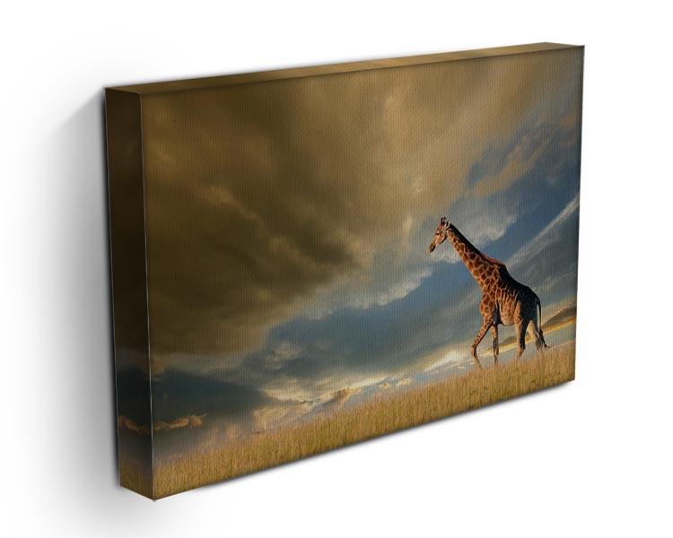 A giraffe walking on the African plains against a dramatic sky Canvas Print or Poster - Canvas Art Rocks - 3