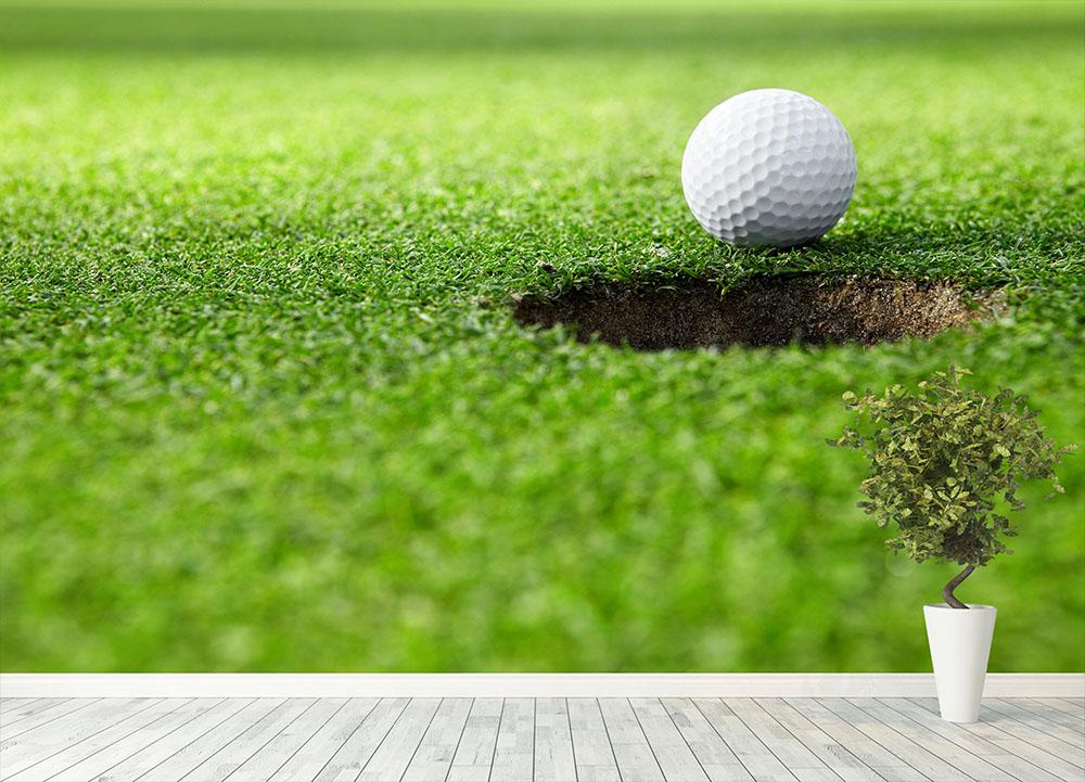 A golf ball at the hole Wall Mural Wallpaper - Canvas Art Rocks - 4