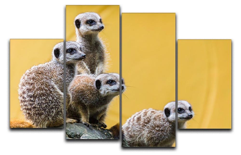 A group of meerkats seen on top of a rock 4 Split Panel Canvas - Canvas Art Rocks - 1