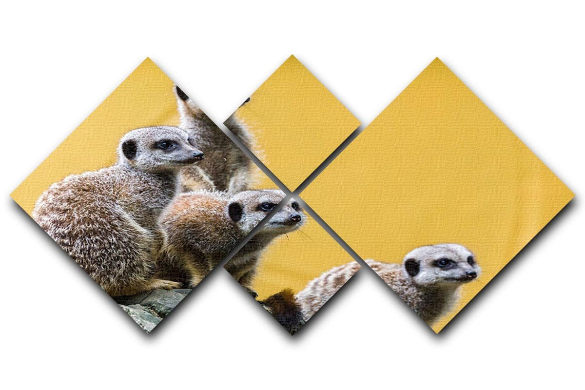 A group of meerkats seen on top of a rock 4 Square Multi Panel Canvas - Canvas Art Rocks - 1