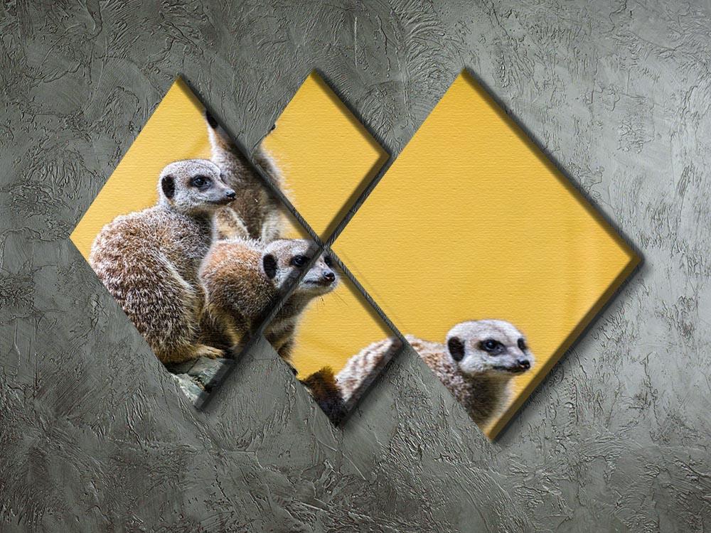 A group of meerkats seen on top of a rock 4 Square Multi Panel Canvas - Canvas Art Rocks - 2
