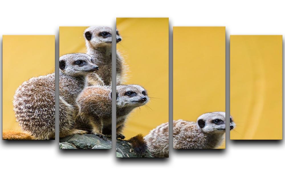 A group of meerkats seen on top of a rock 5 Split Panel Canvas - Canvas Art Rocks - 1