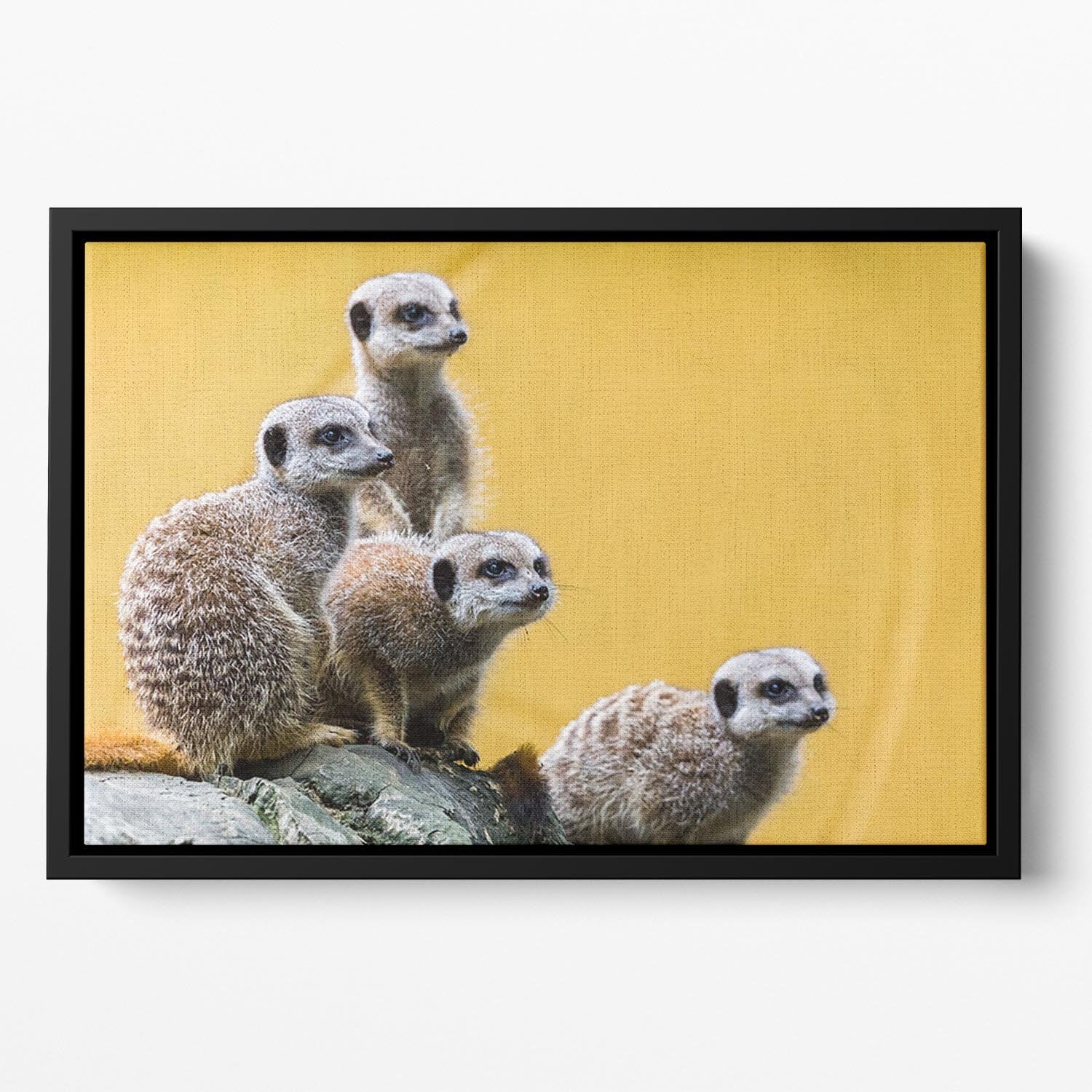 A group of meerkats seen on top of a rock Floating Framed Canvas - Canvas Art Rocks - 2