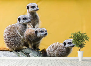 A group of meerkats seen on top of a rock Wall Mural Wallpaper - Canvas Art Rocks - 4