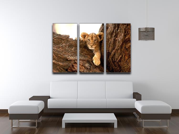 A little tiger cub look out for rocks 3 Split Panel Canvas Print - Canvas Art Rocks - 3