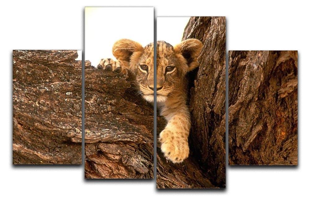 A little tiger cub look out for rocks 4 Split Panel Canvas - Canvas Art Rocks - 1