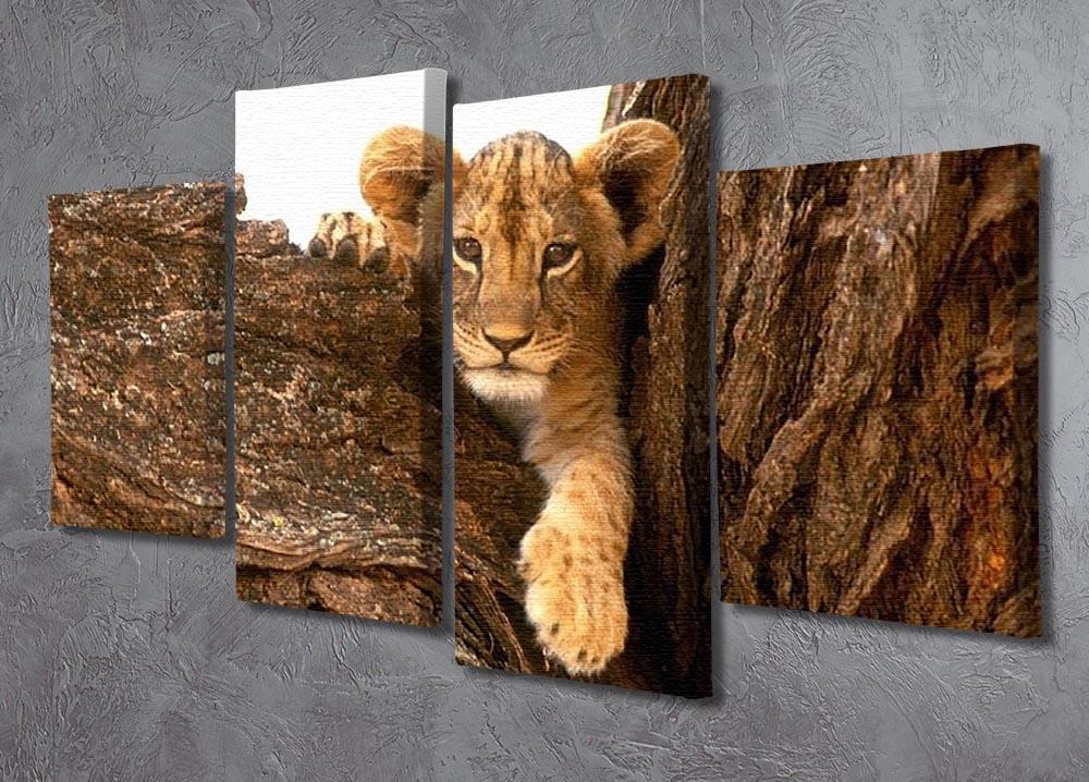 A little tiger cub look out for rocks 4 Split Panel Canvas - Canvas Art Rocks - 2