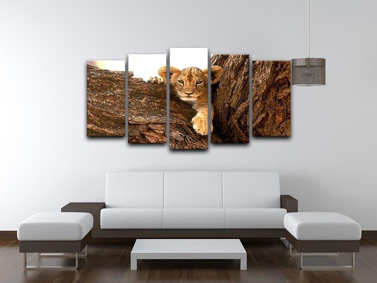 A little tiger cub look out for rocks 5 Split Panel Canvas - Canvas Art Rocks - 3