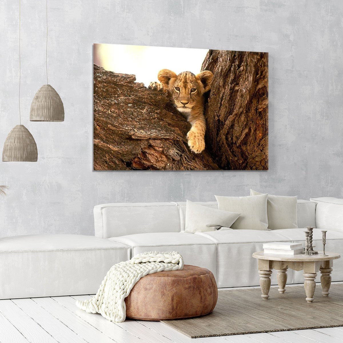 A little tiger cub look out for rocks Canvas Print or Poster