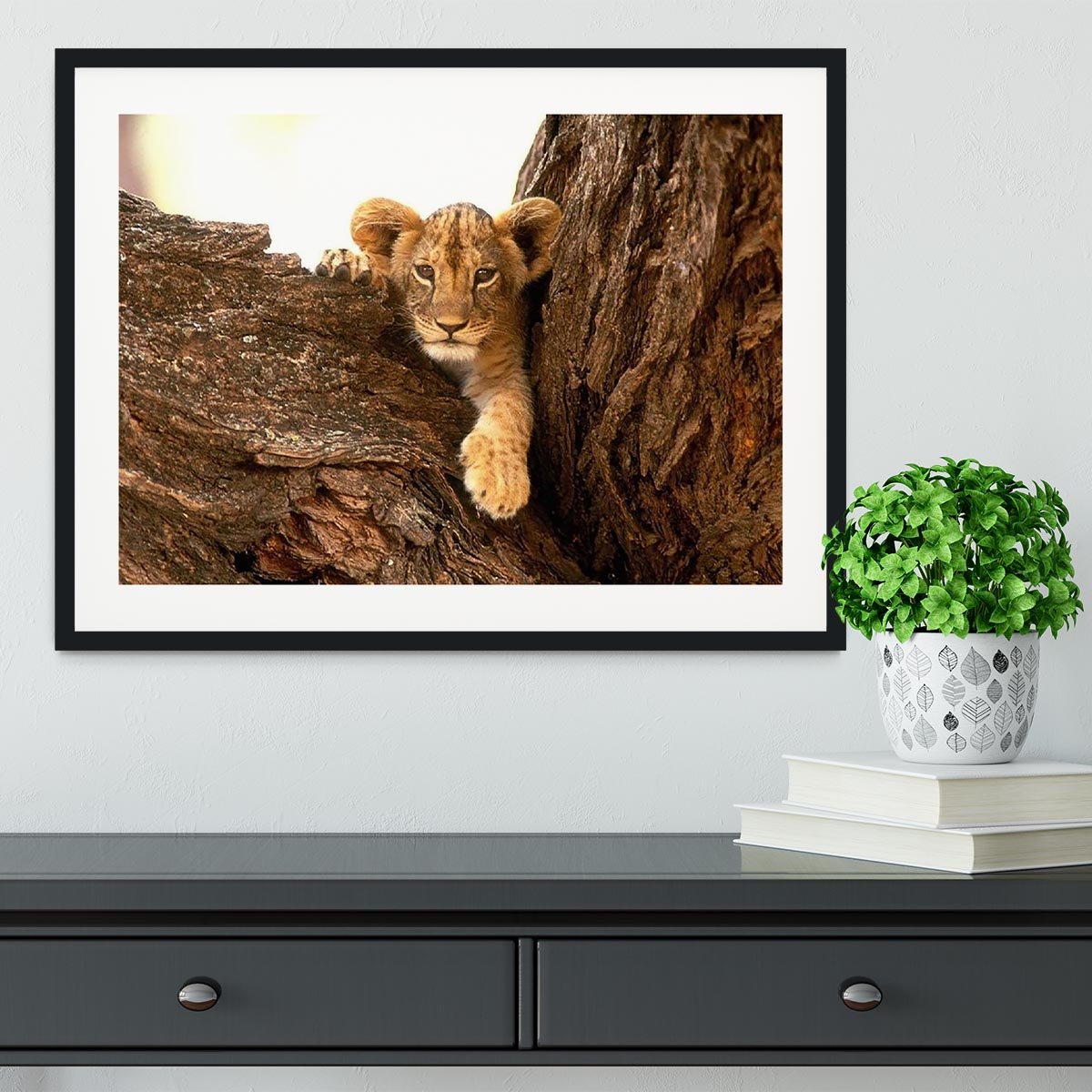 A little tiger cub look out for rocks Framed Print - Canvas Art Rocks - 1