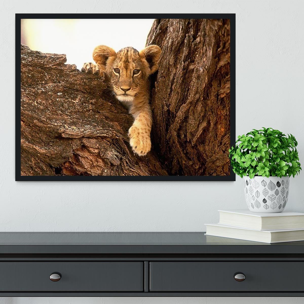 A little tiger cub look out for rocks Framed Print - Canvas Art Rocks - 2