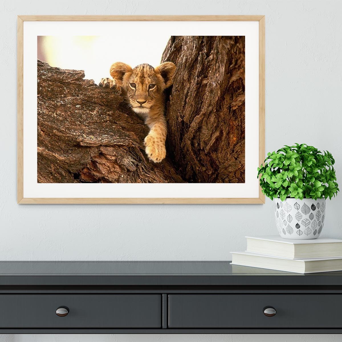 A little tiger cub look out for rocks Framed Print - Canvas Art Rocks - 3