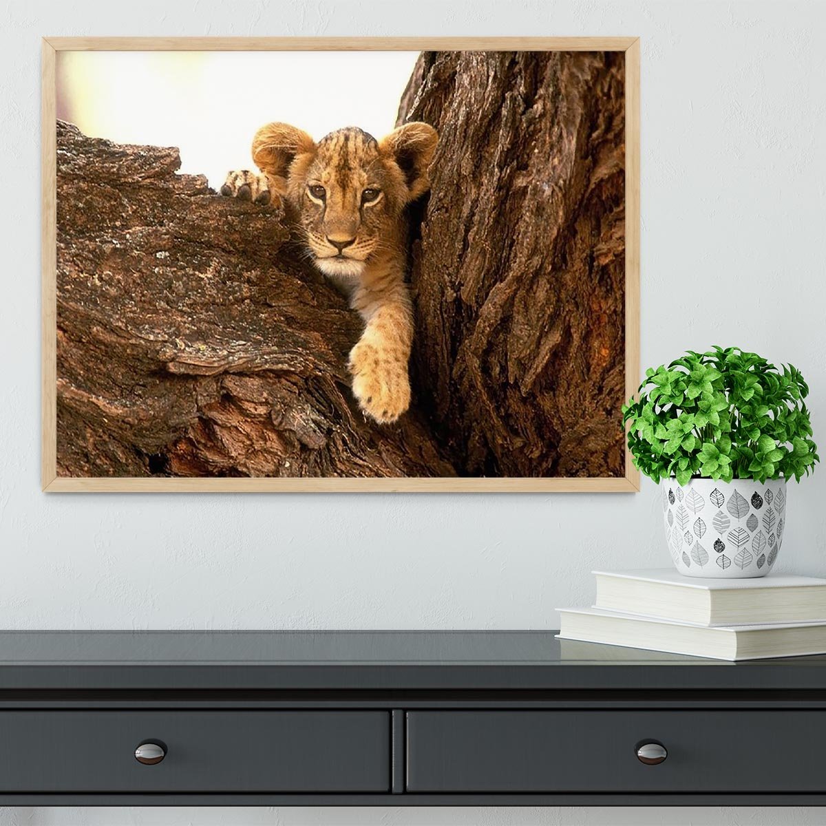 A little tiger cub look out for rocks Framed Print - Canvas Art Rocks - 4