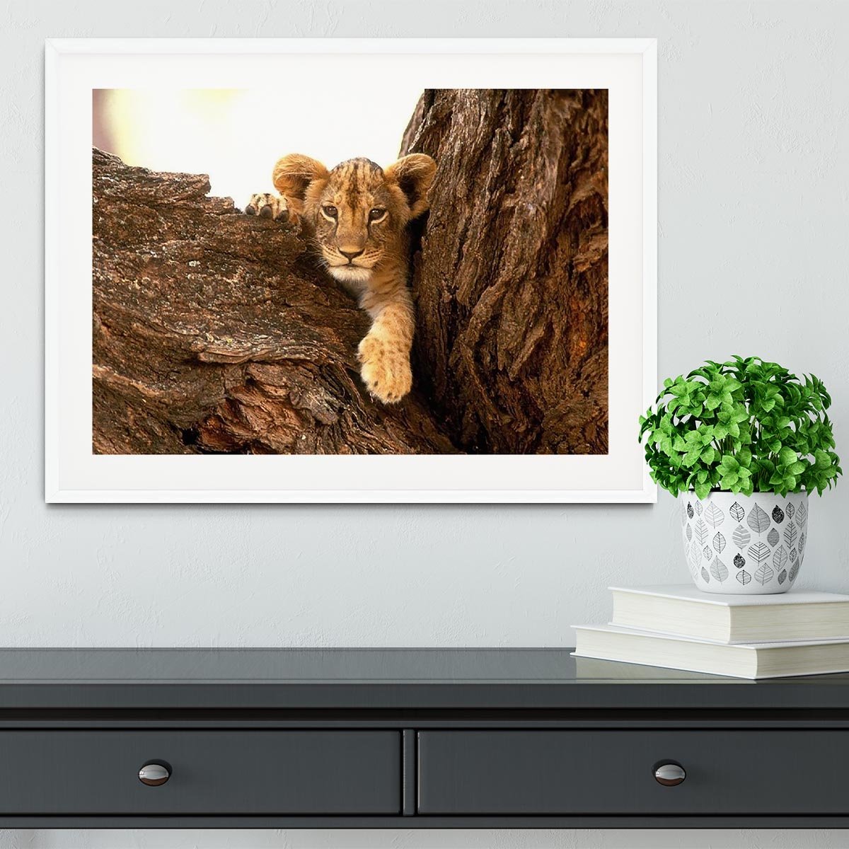 A little tiger cub look out for rocks Framed Print - Canvas Art Rocks - 5