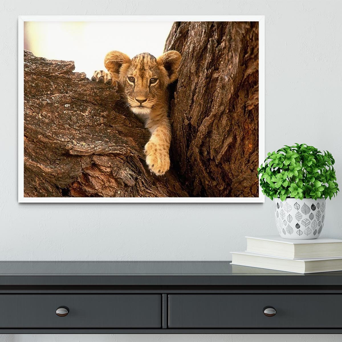 A little tiger cub look out for rocks Framed Print - Canvas Art Rocks -6