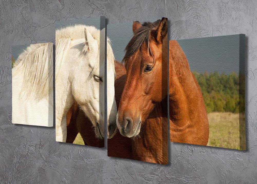 A pair of horses showing affection 4 Split Panel Canvas - Canvas Art Rocks - 2