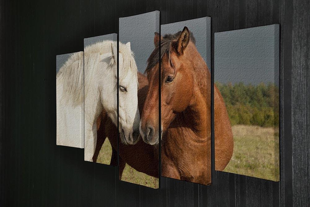 A pair of horses showing affection 5 Split Panel Canvas - Canvas Art Rocks - 2