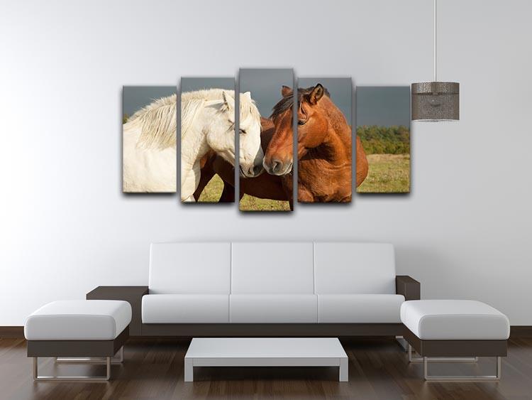 A pair of horses showing affection 5 Split Panel Canvas - Canvas Art Rocks - 3