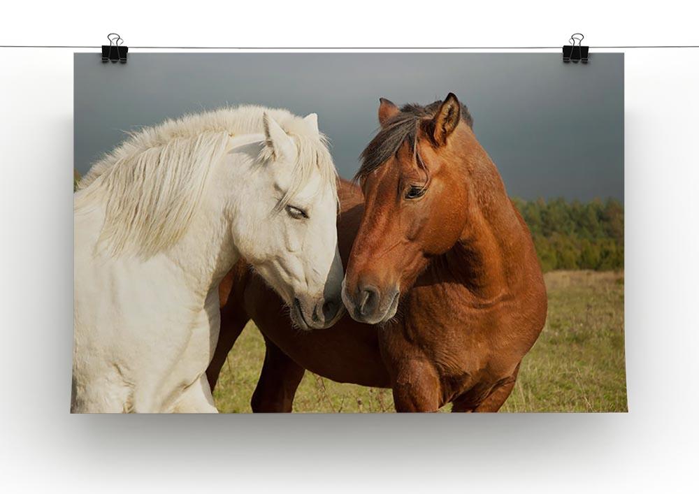 A pair of horses showing affection Canvas Print or Poster - Canvas Art Rocks - 2