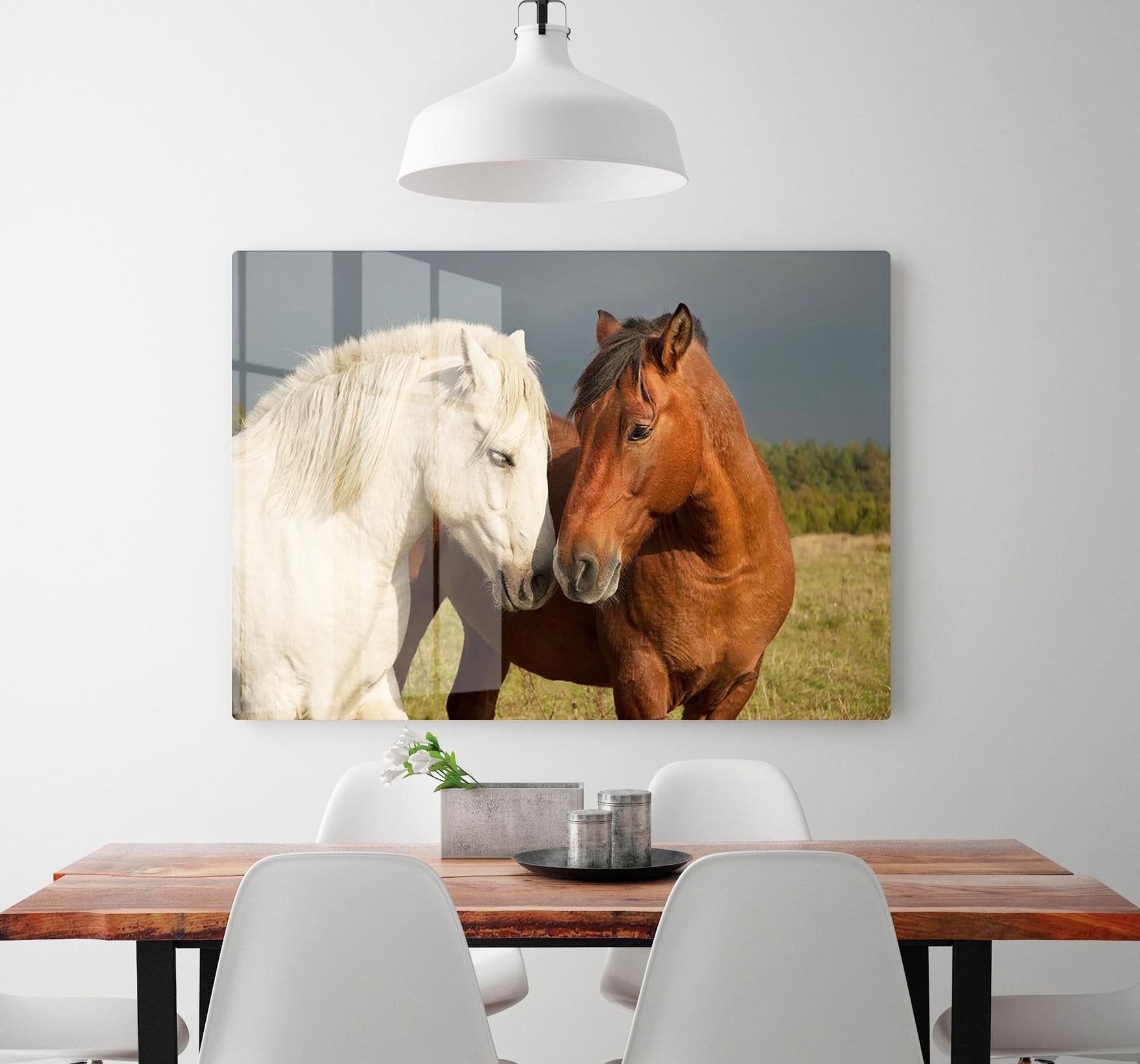 A pair of horses showing affection HD Metal Print - Canvas Art Rocks - 2