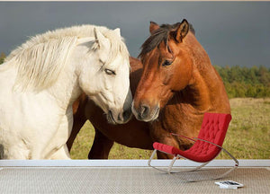 A pair of horses showing affection Wall Mural Wallpaper - Canvas Art Rocks - 2
