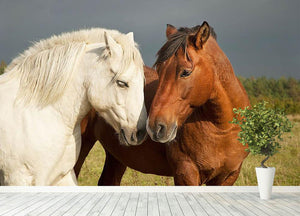 A pair of horses showing affection Wall Mural Wallpaper - Canvas Art Rocks - 4