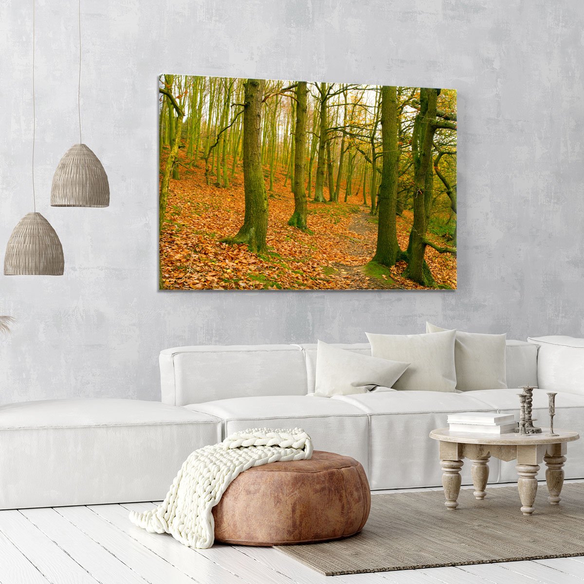 A path through the woods at Haw park Canvas Print or Poster