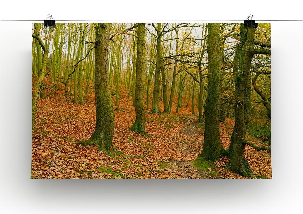 A path through the woods at Haw park Canvas Print or Poster - Canvas Art Rocks - 2