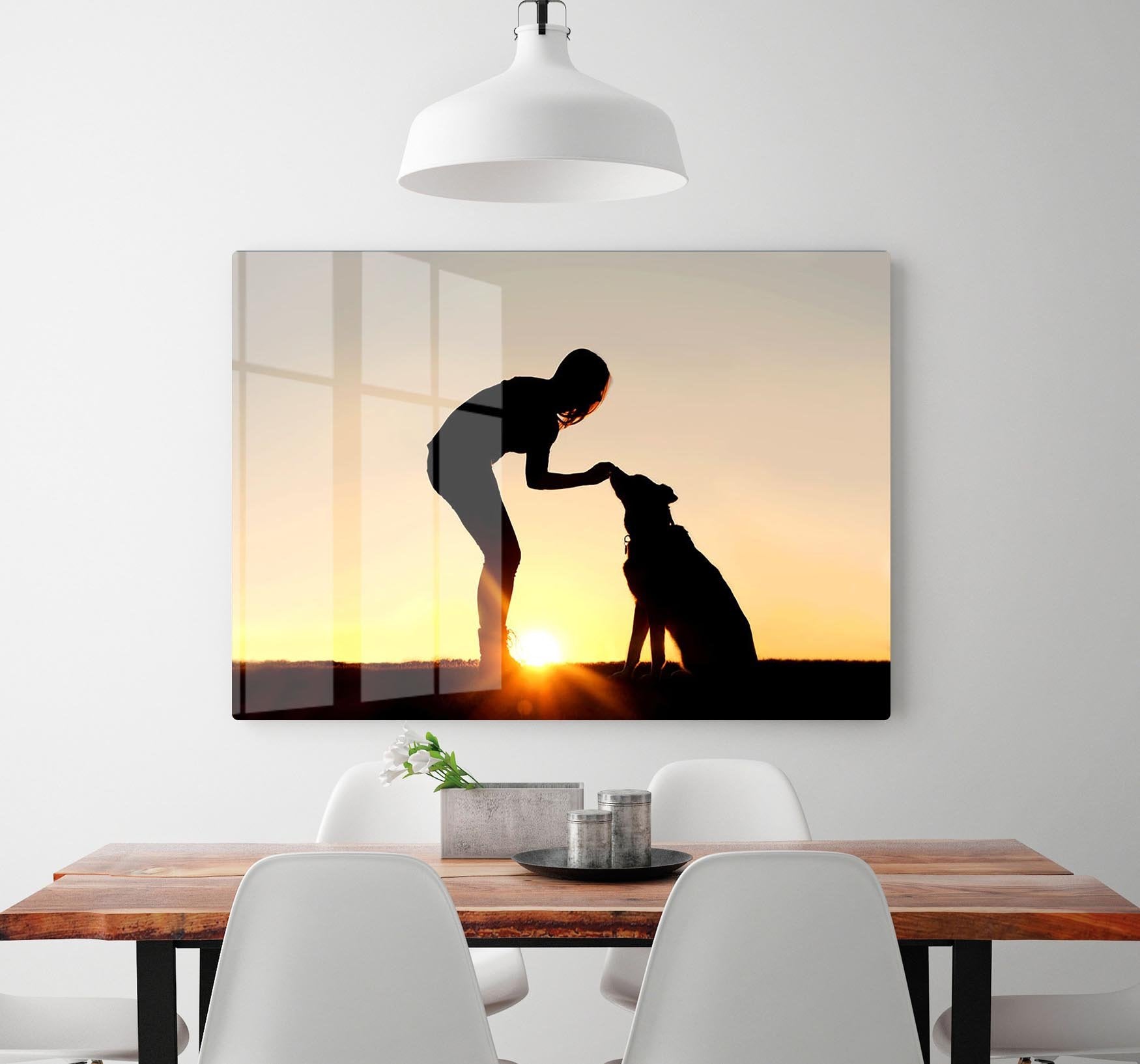A silhouette of a girl sitting outside in the grass with her pet German Shepherd Mix Dog feeding him treats during training in front of a sunsetting sky. HD Metal Print - Canvas Art Rocks - 2