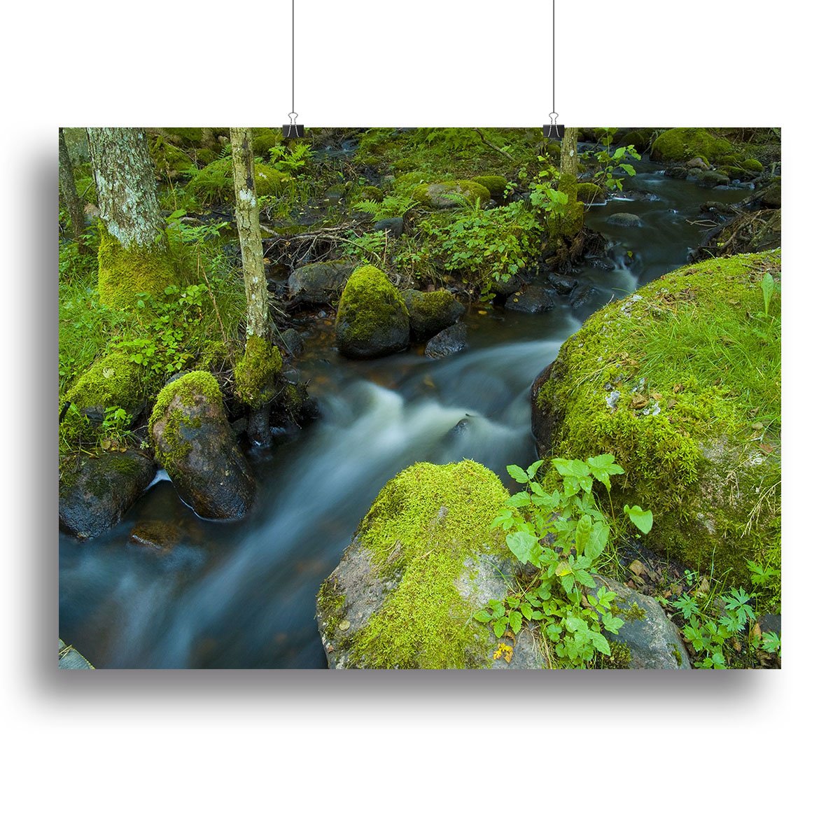 A small Canvas Print or Poster