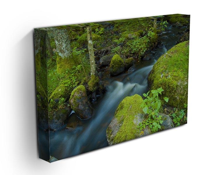 A small Canvas Print or Poster - Canvas Art Rocks - 3
