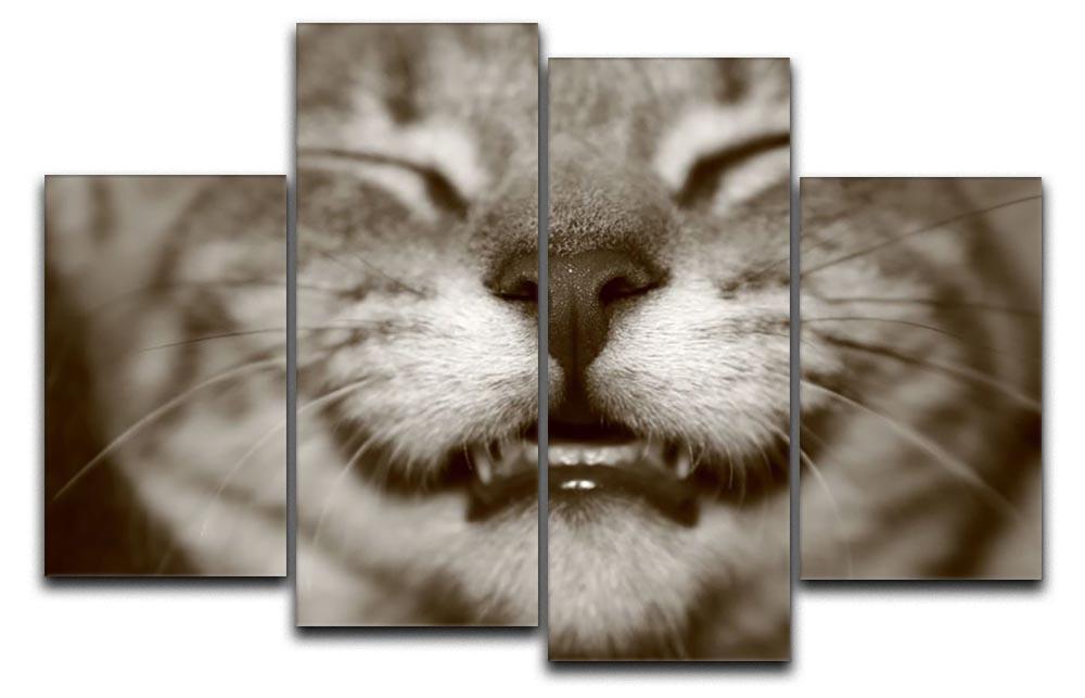 A smiling kitten 4 Split Panel Canvas - Canvas Art Rocks - 1