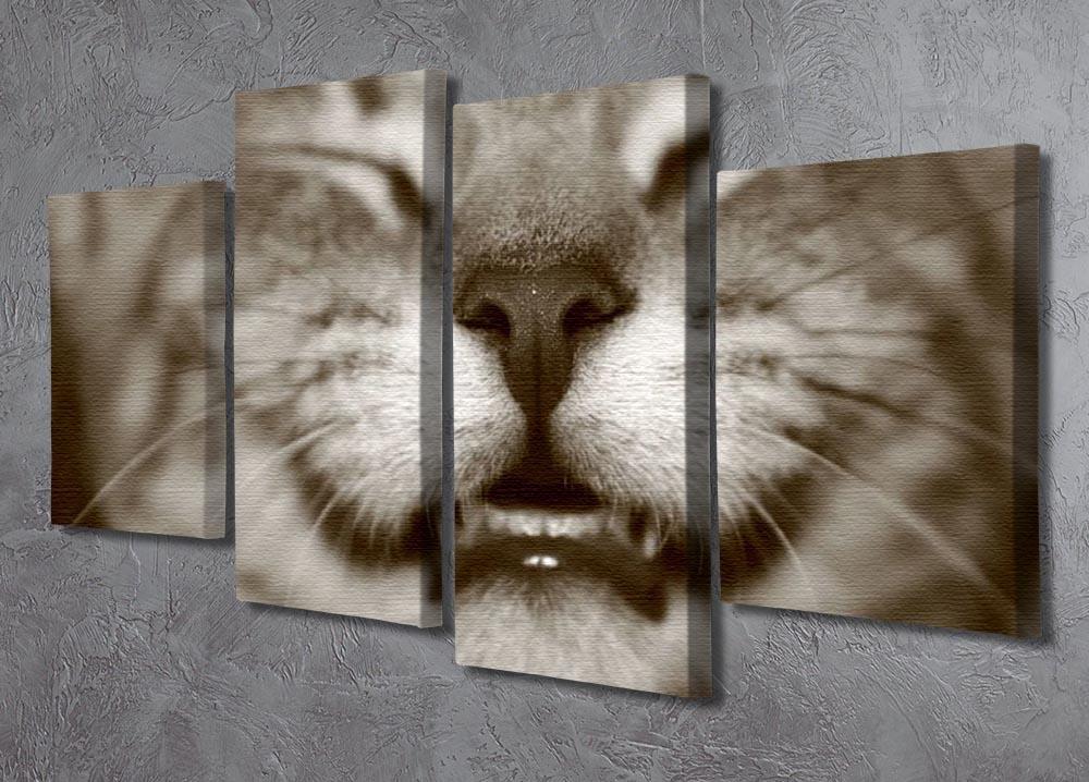 A smiling kitten 4 Split Panel Canvas - Canvas Art Rocks - 2