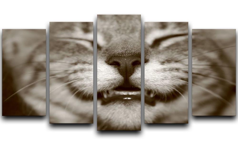 A smiling kitten 5 Split Panel Canvas - Canvas Art Rocks - 1