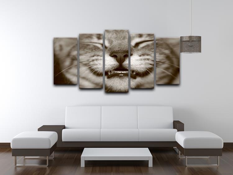 A smiling kitten 5 Split Panel Canvas - Canvas Art Rocks - 3