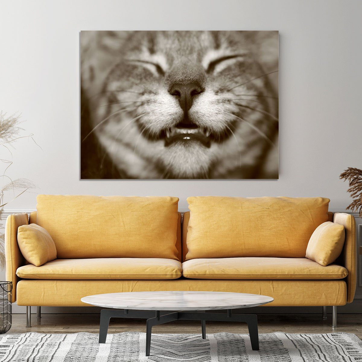 A smiling kitten Canvas Print or Poster