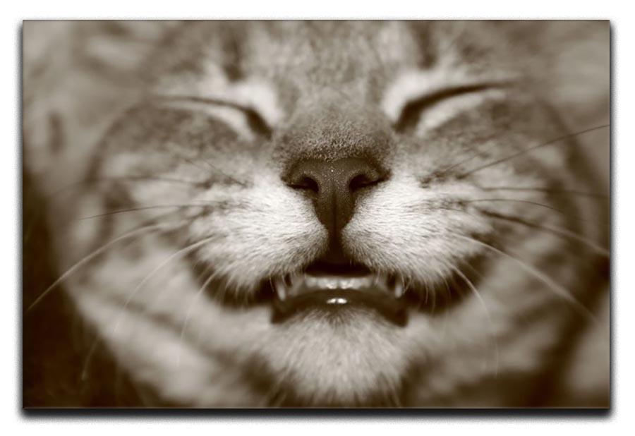 A smiling kitten Canvas Print or Poster - Canvas Art Rocks - 1