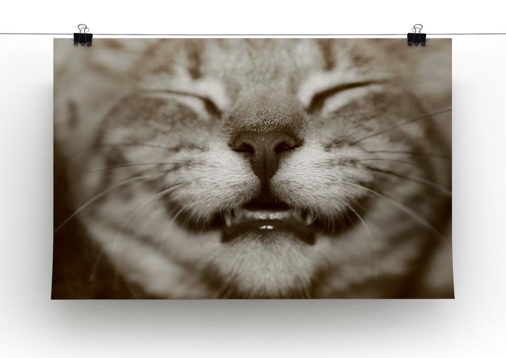 A smiling kitten Canvas Print or Poster - Canvas Art Rocks - 2