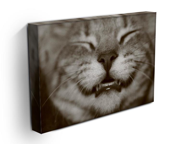 A smiling kitten Canvas Print or Poster - Canvas Art Rocks - 3
