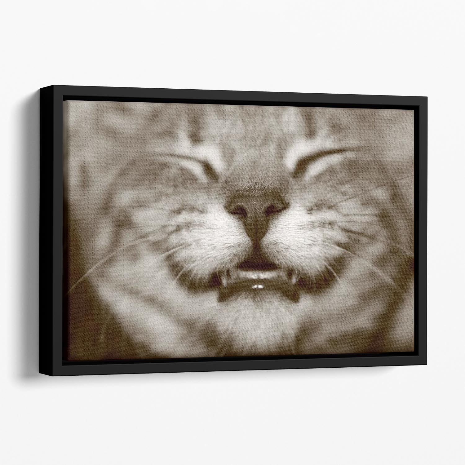A smiling kitten Floating Framed Canvas - Canvas Art Rocks - 1