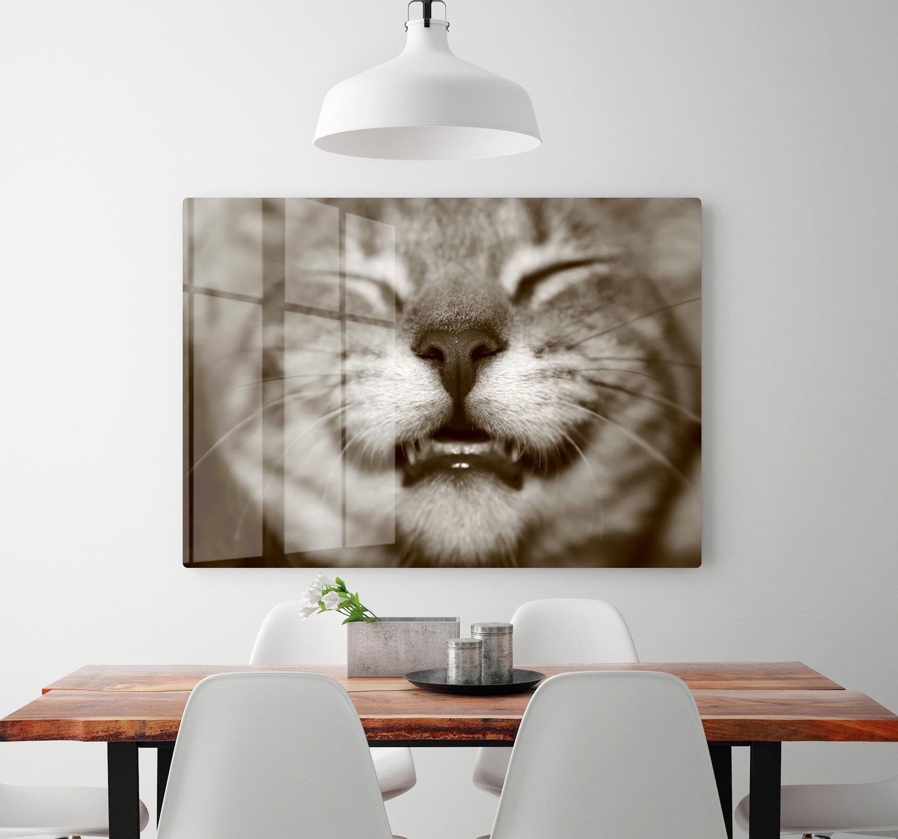 A smiling kitten HD Metal Print - Canvas Art Rocks - 2