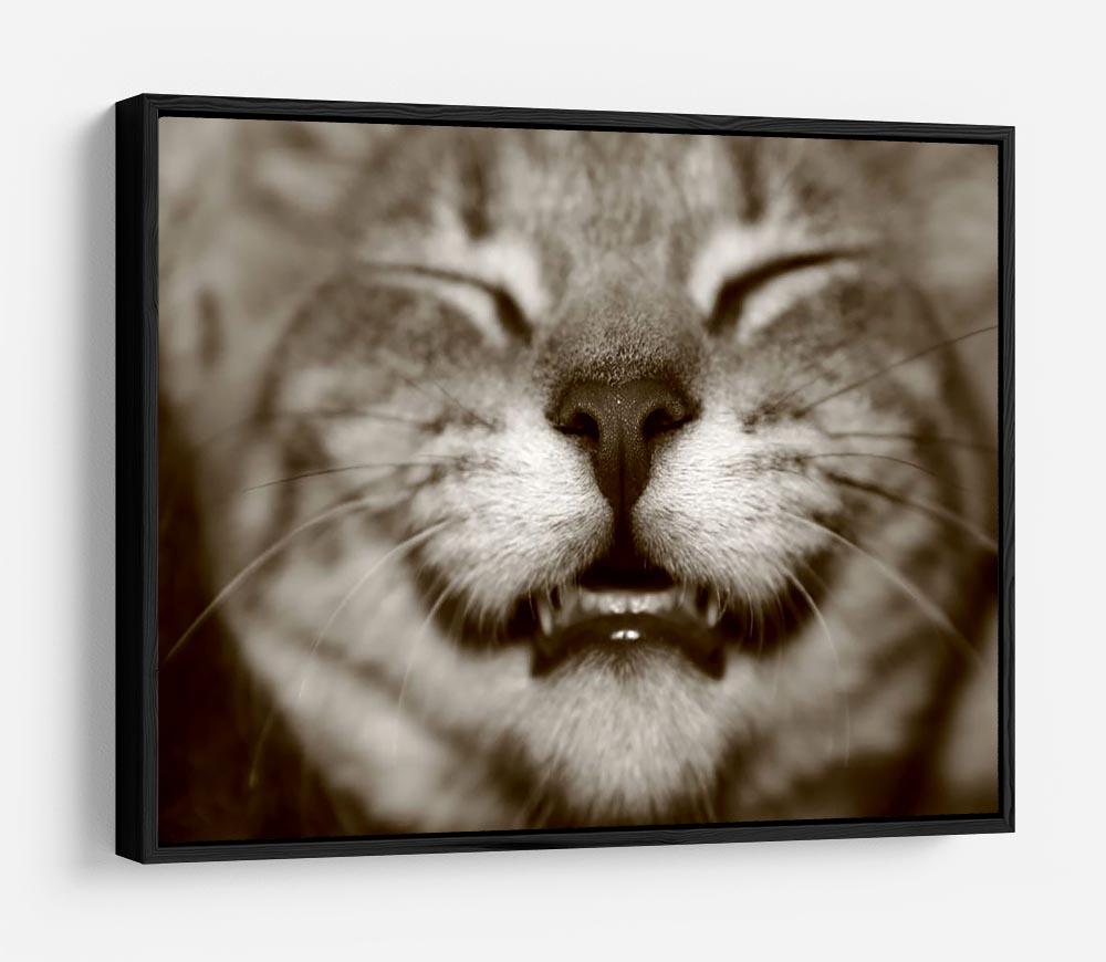 A smiling kitten HD Metal Print - Canvas Art Rocks - 6